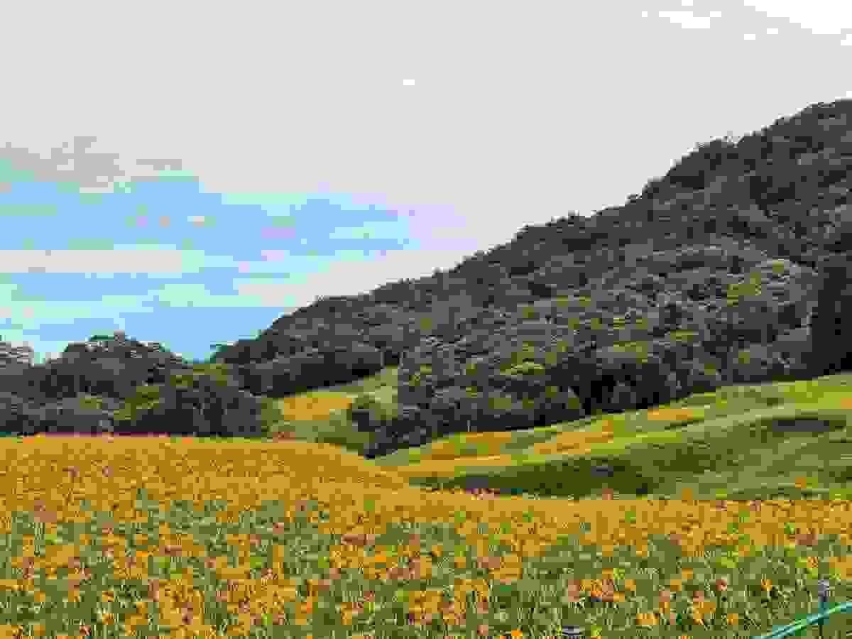 Section image