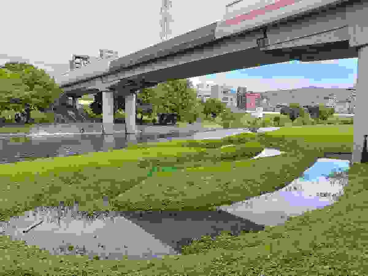Section image