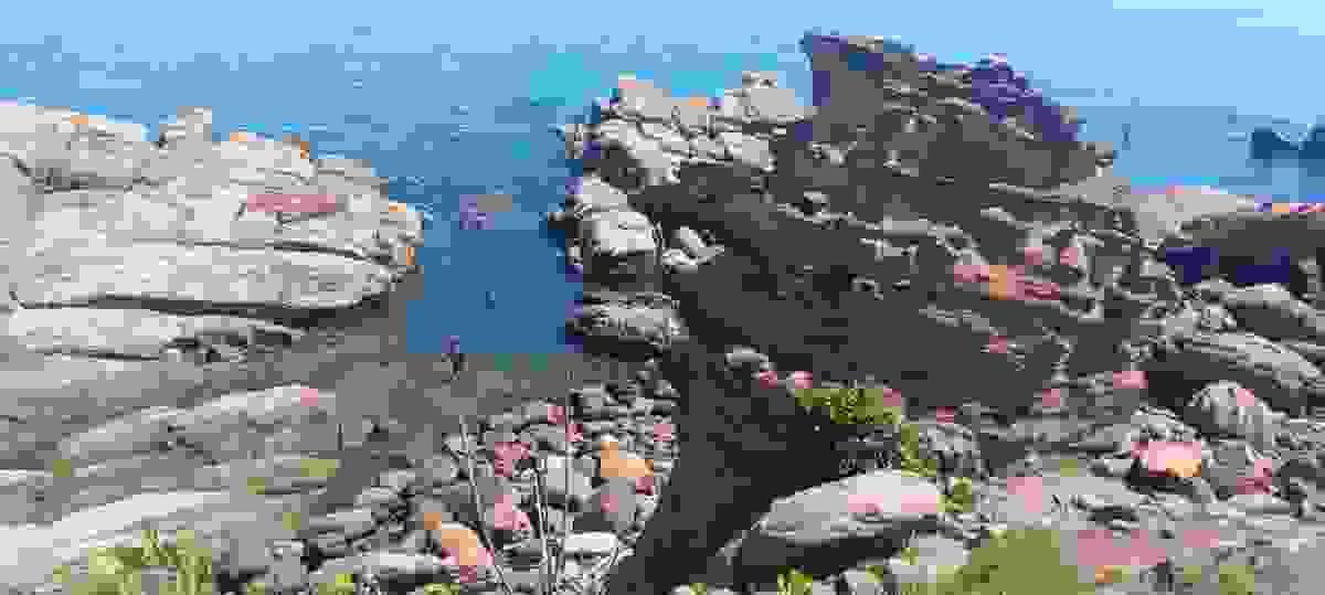 Section image