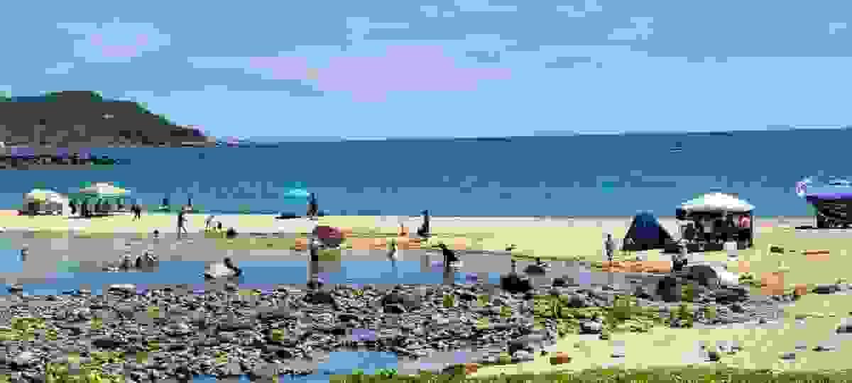Section image