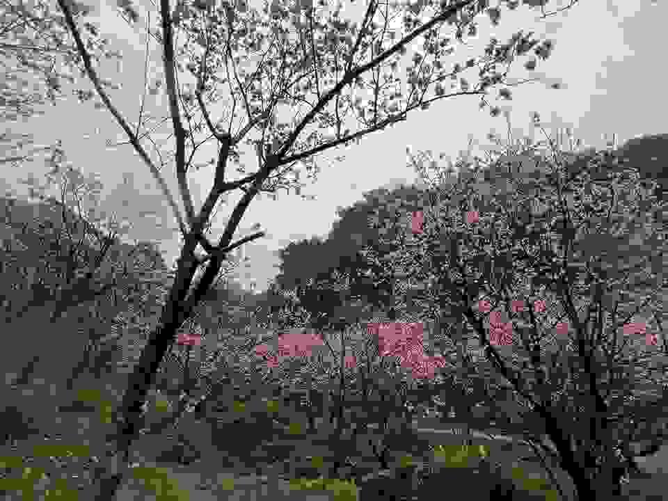 broken image