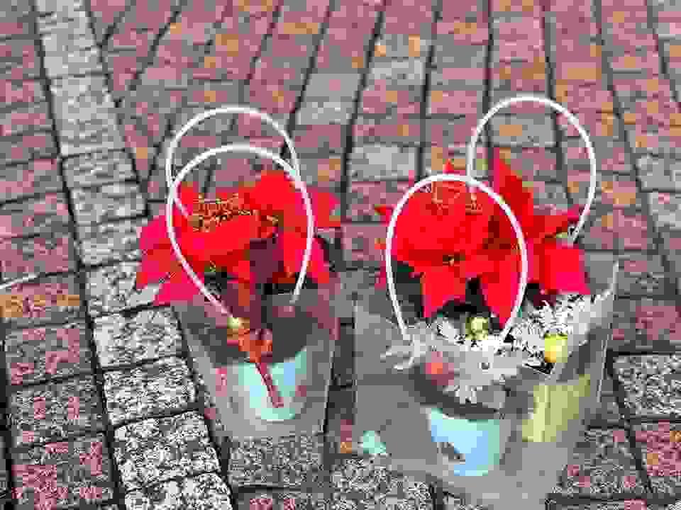 broken image