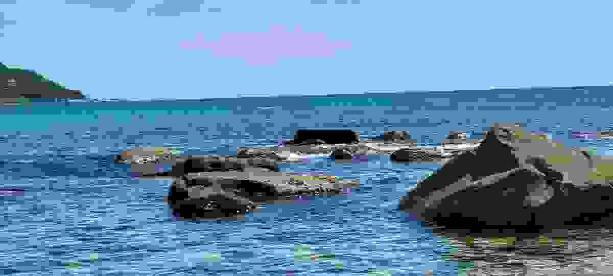Section image