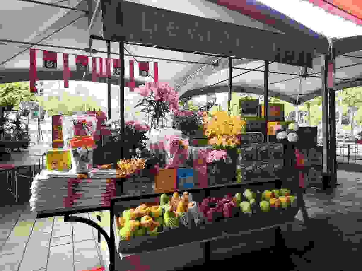 Section image