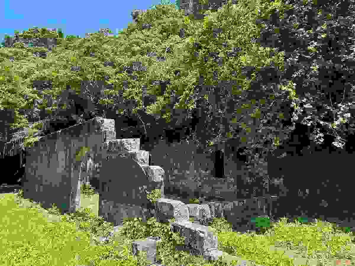 Section image