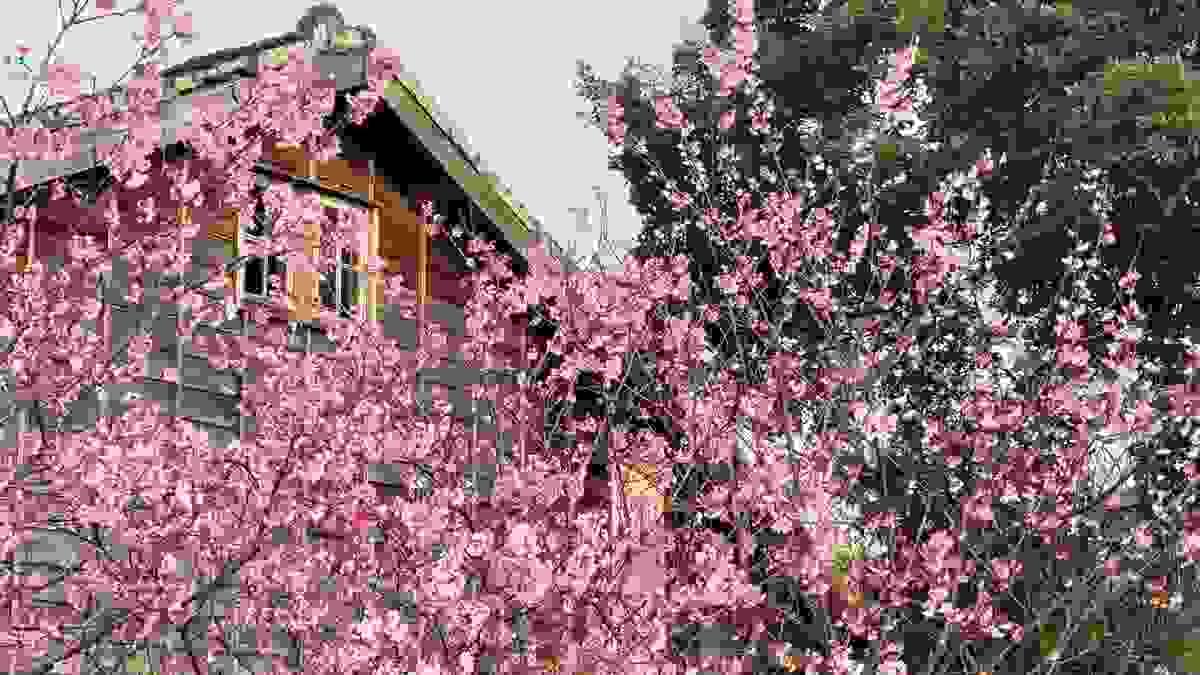 Section image