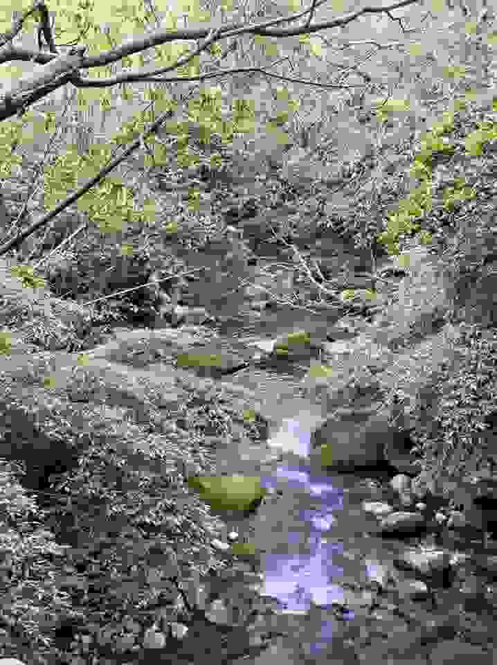 broken image