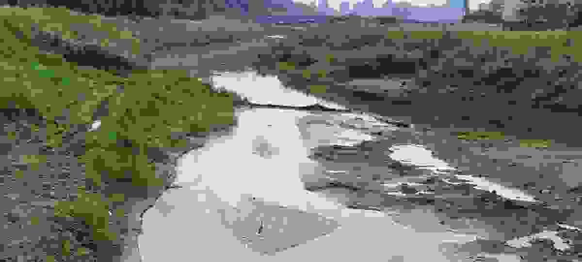 Section image