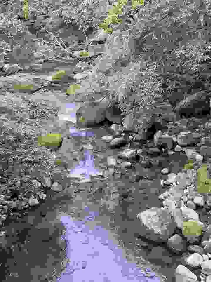 broken image