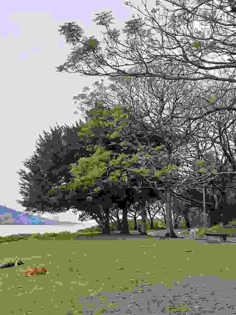 broken image