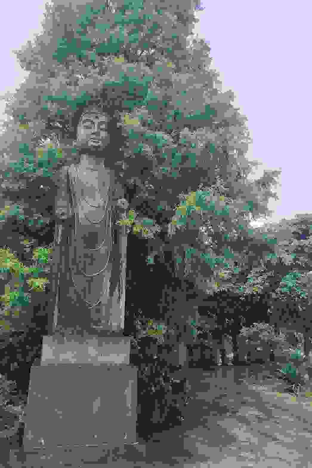 broken image