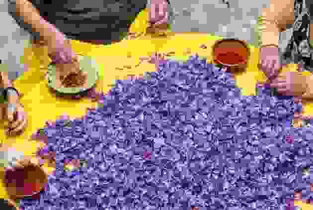 broken image