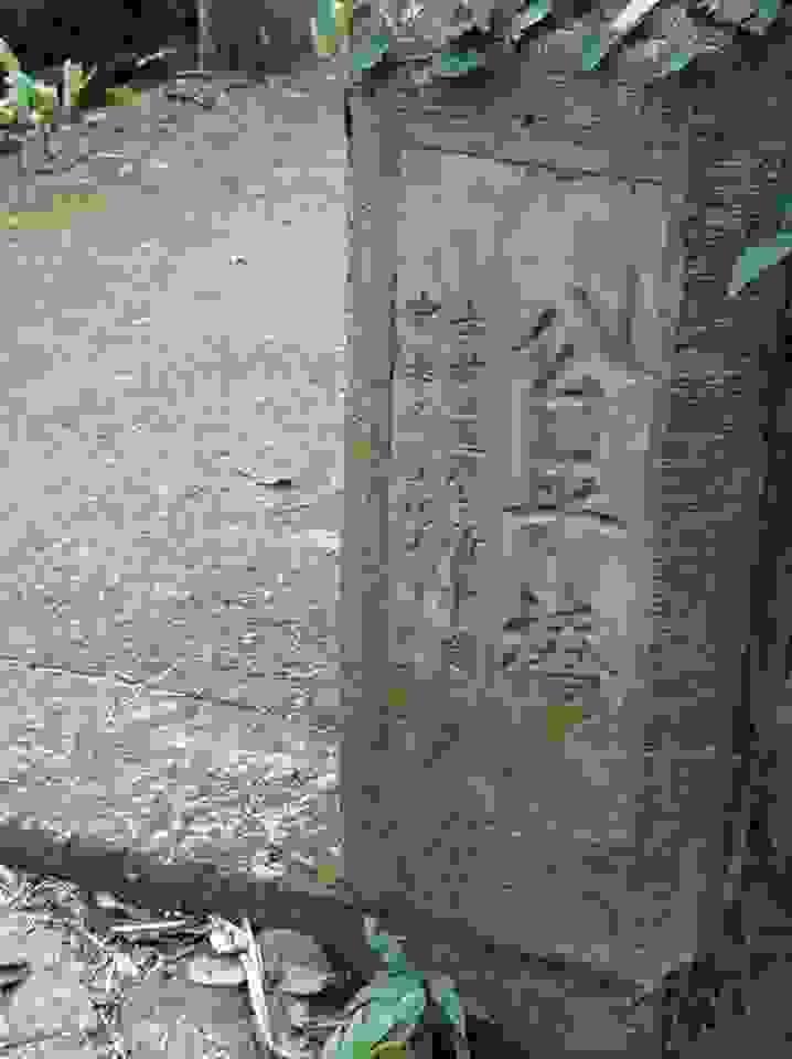 broken image