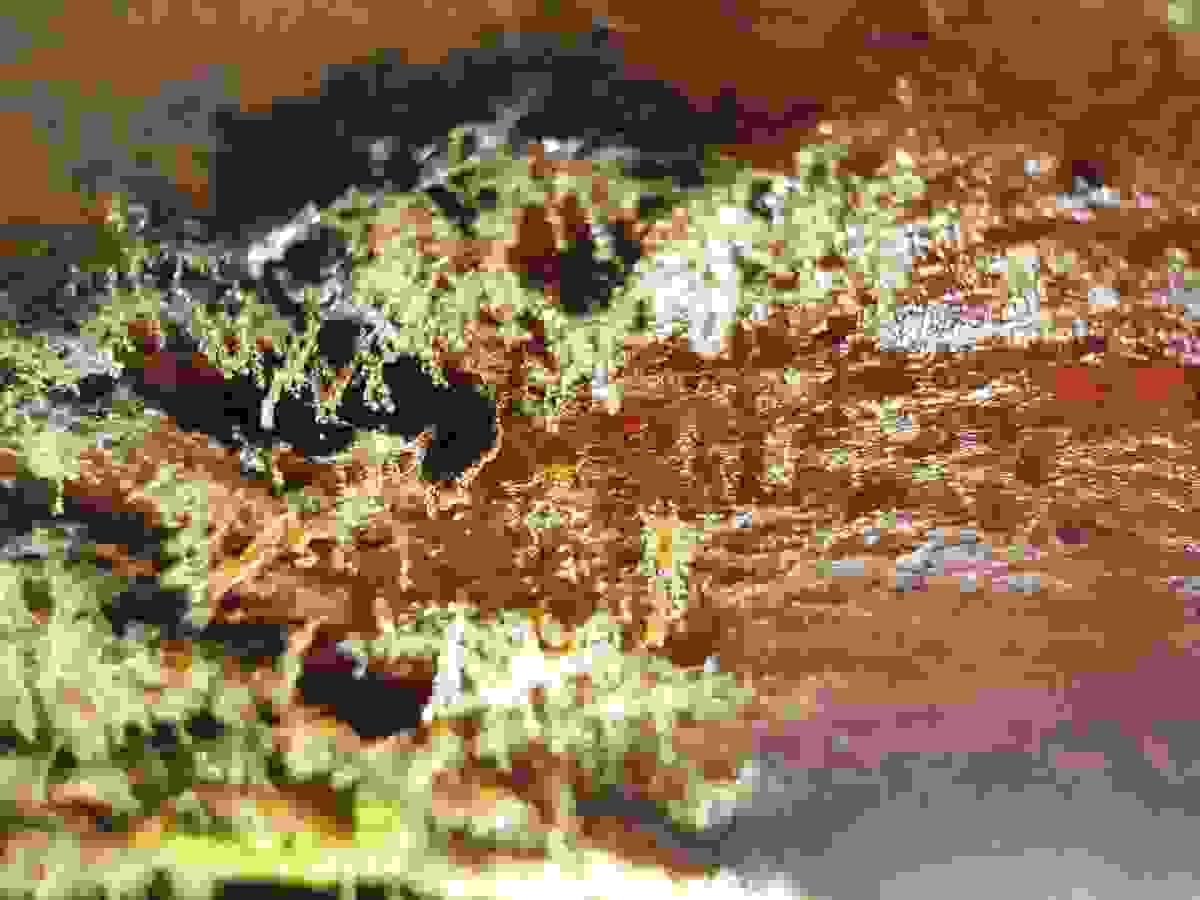 Section image