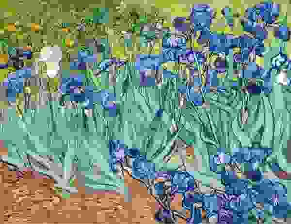 Section image