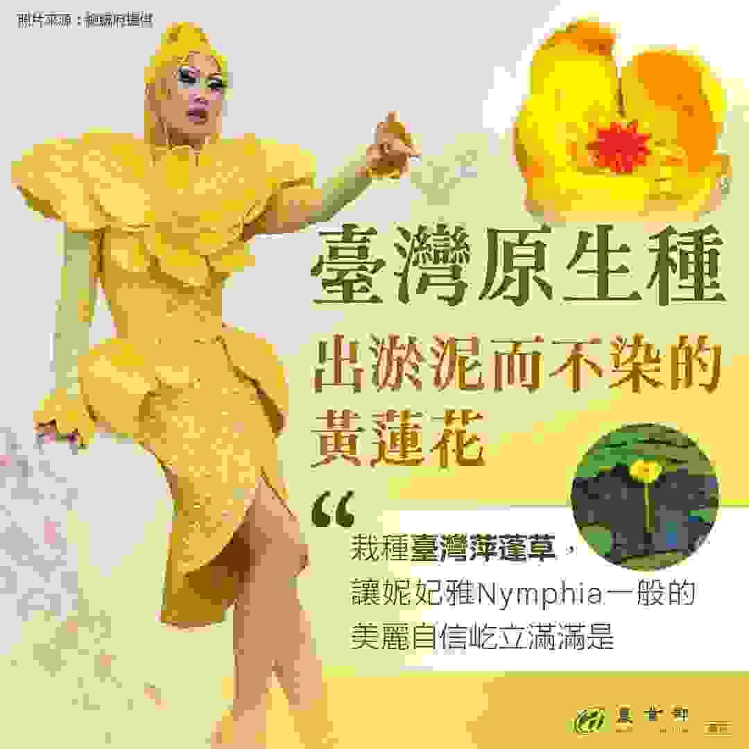broken image