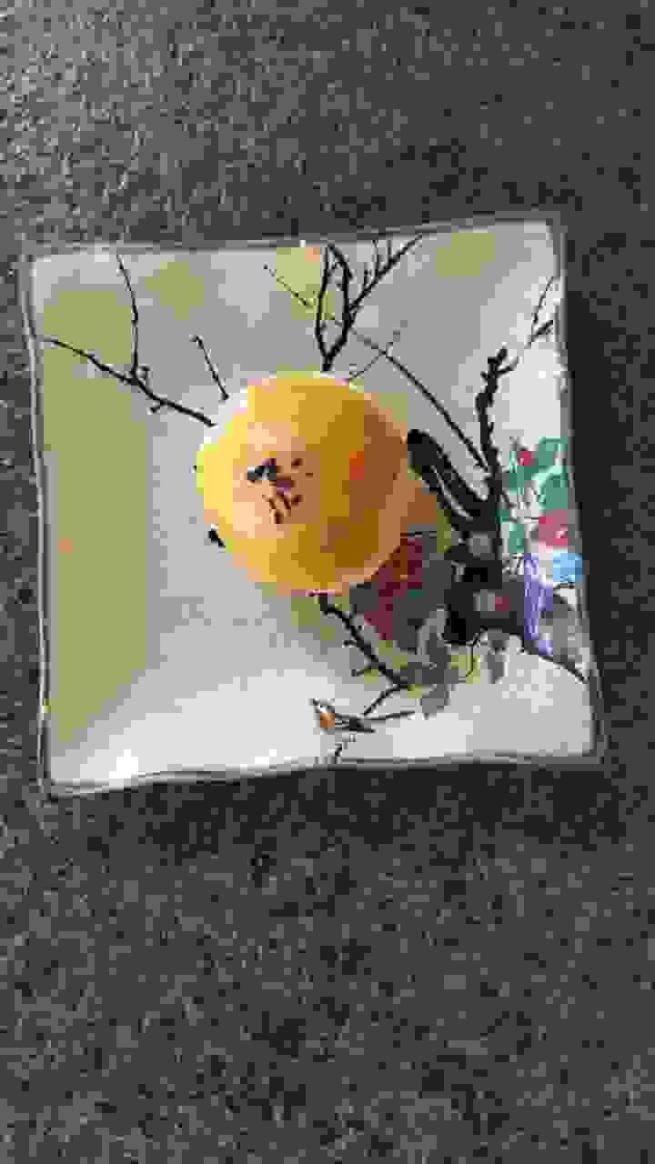 broken image