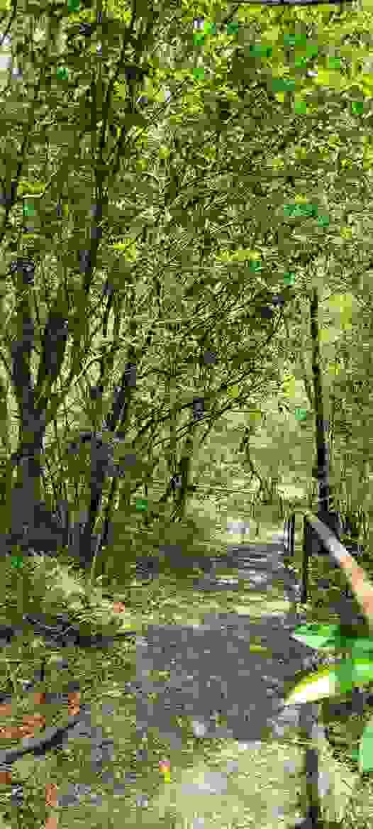 broken image