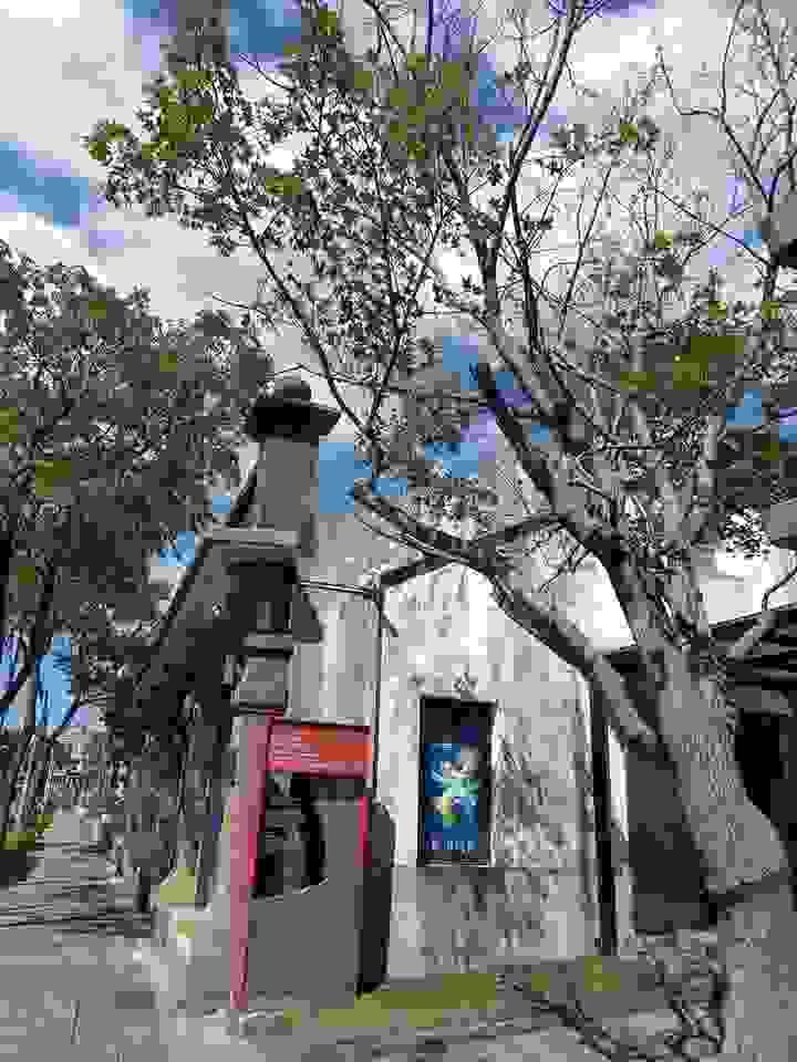 Section image