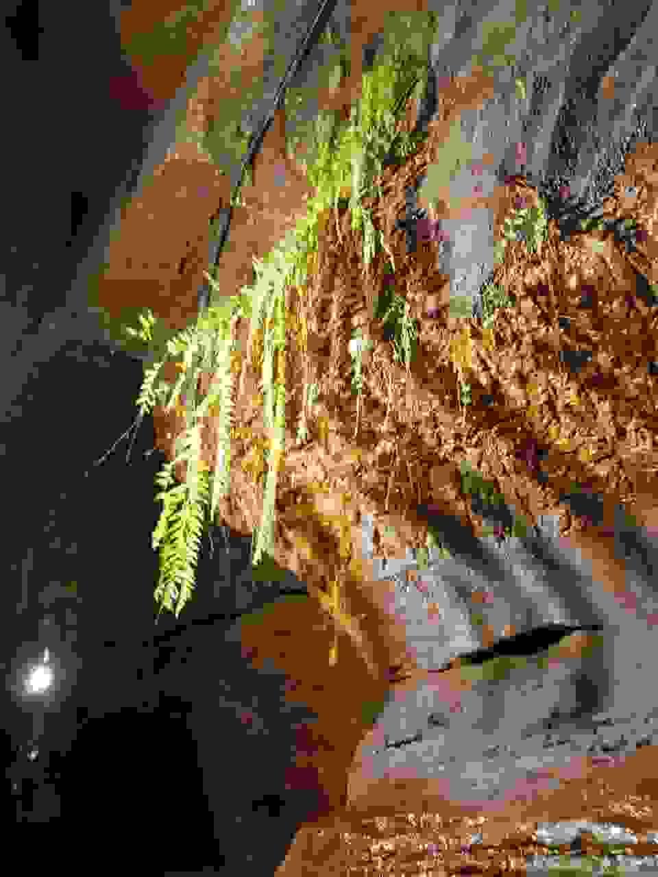 Section image