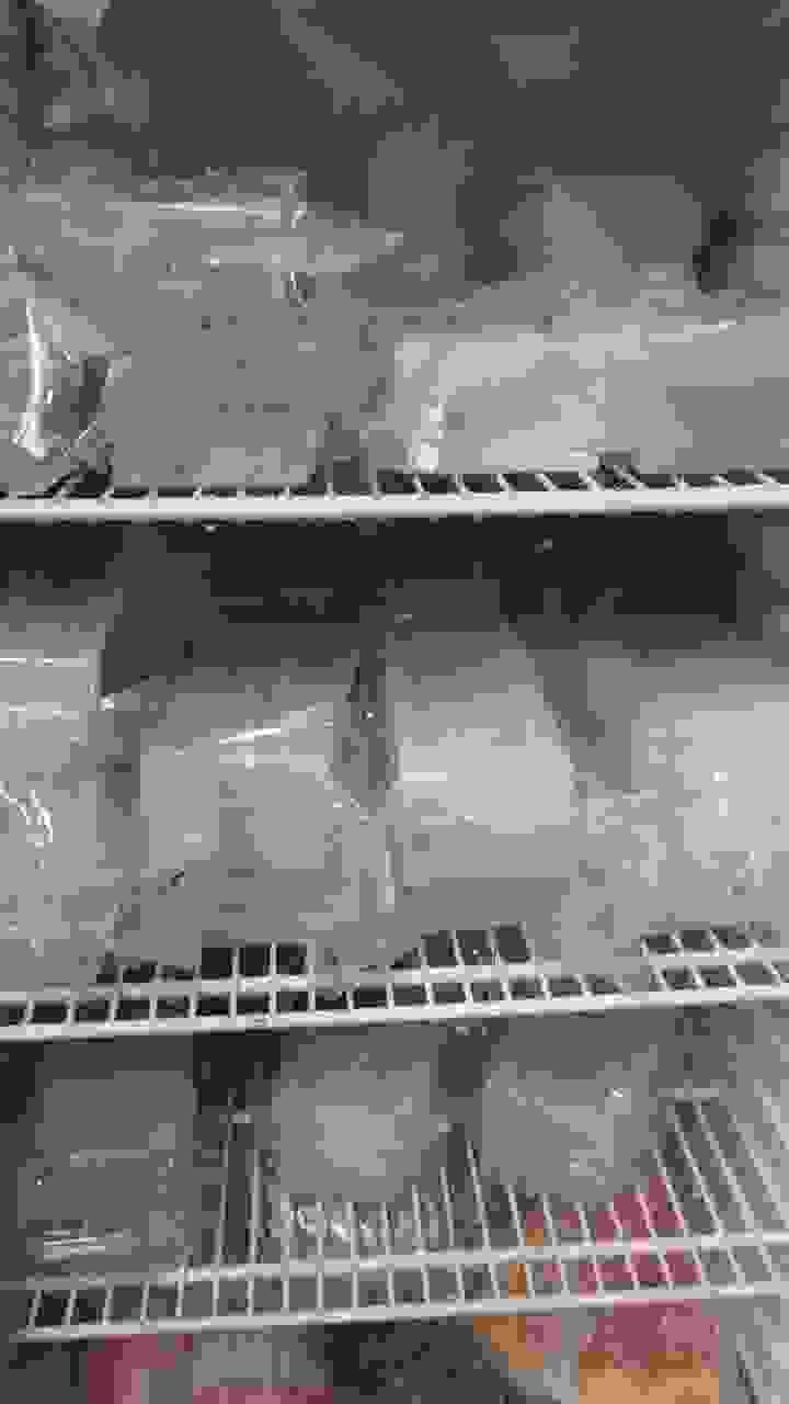 broken image