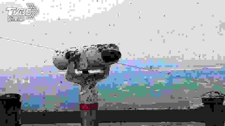 broken image