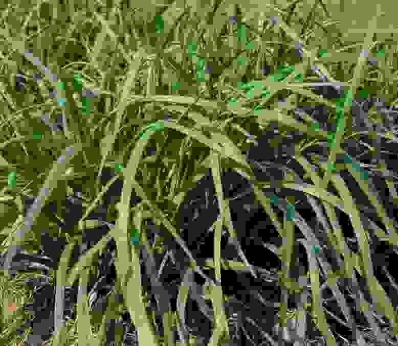 broken image