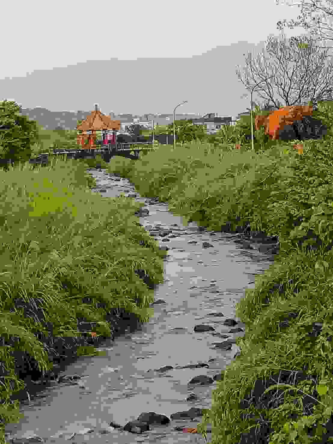 Section image