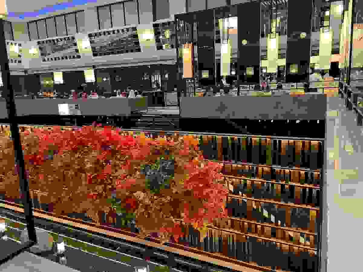 Section image