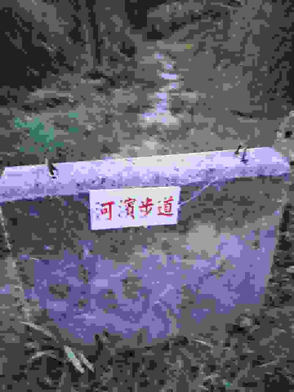 broken image