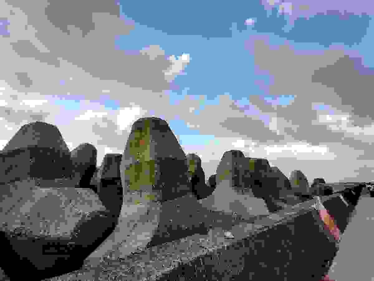 Section image