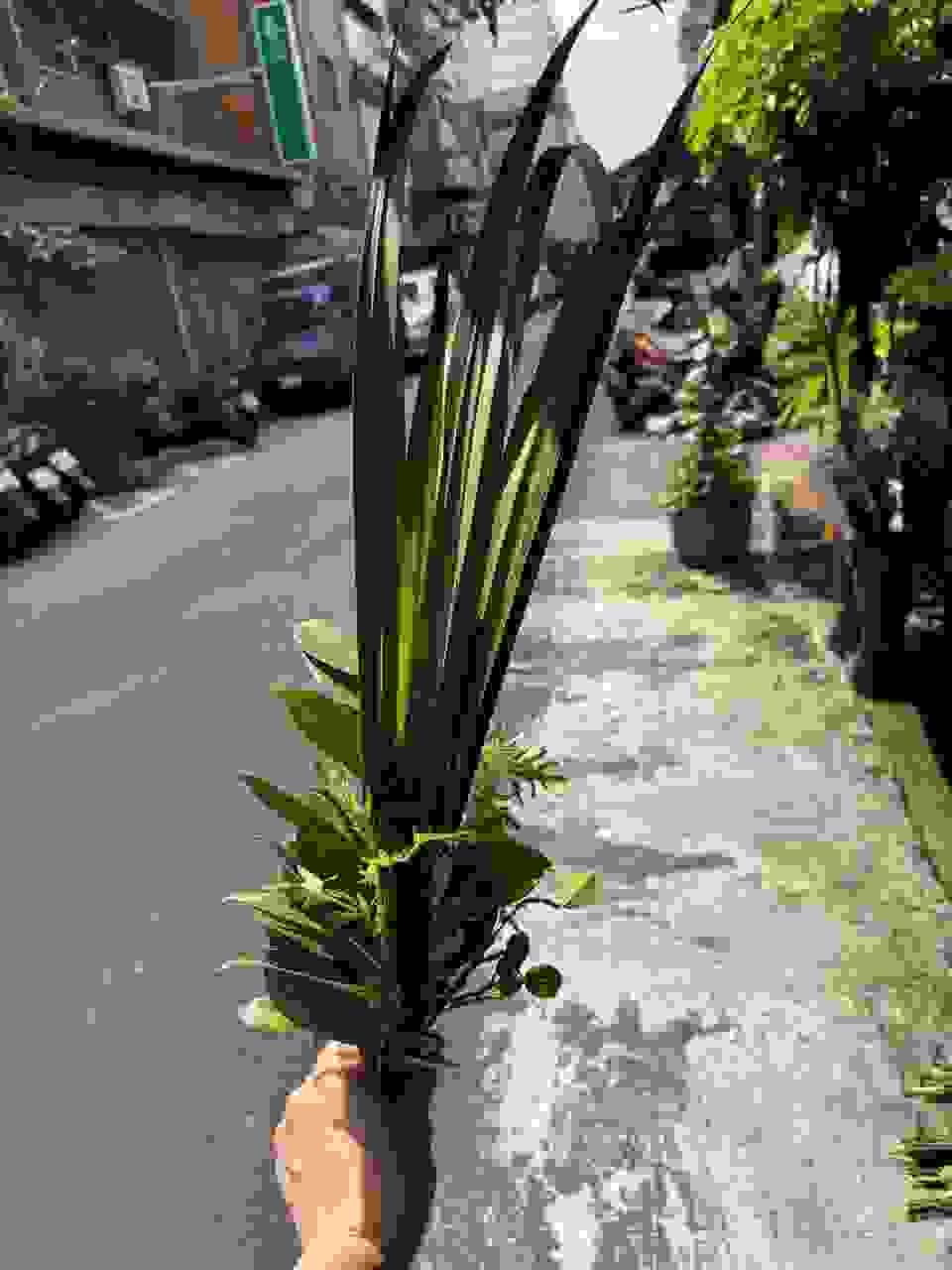 Section image