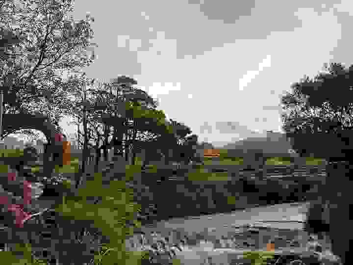 Section image