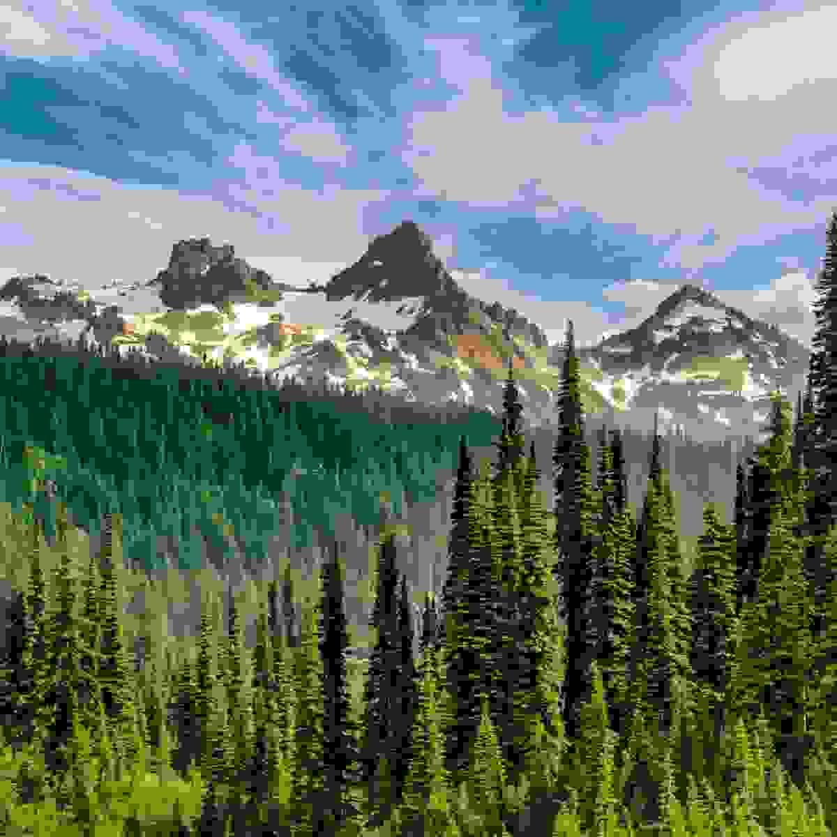 Section image