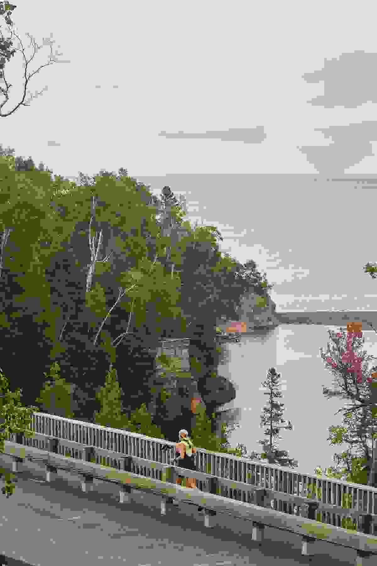 Section image