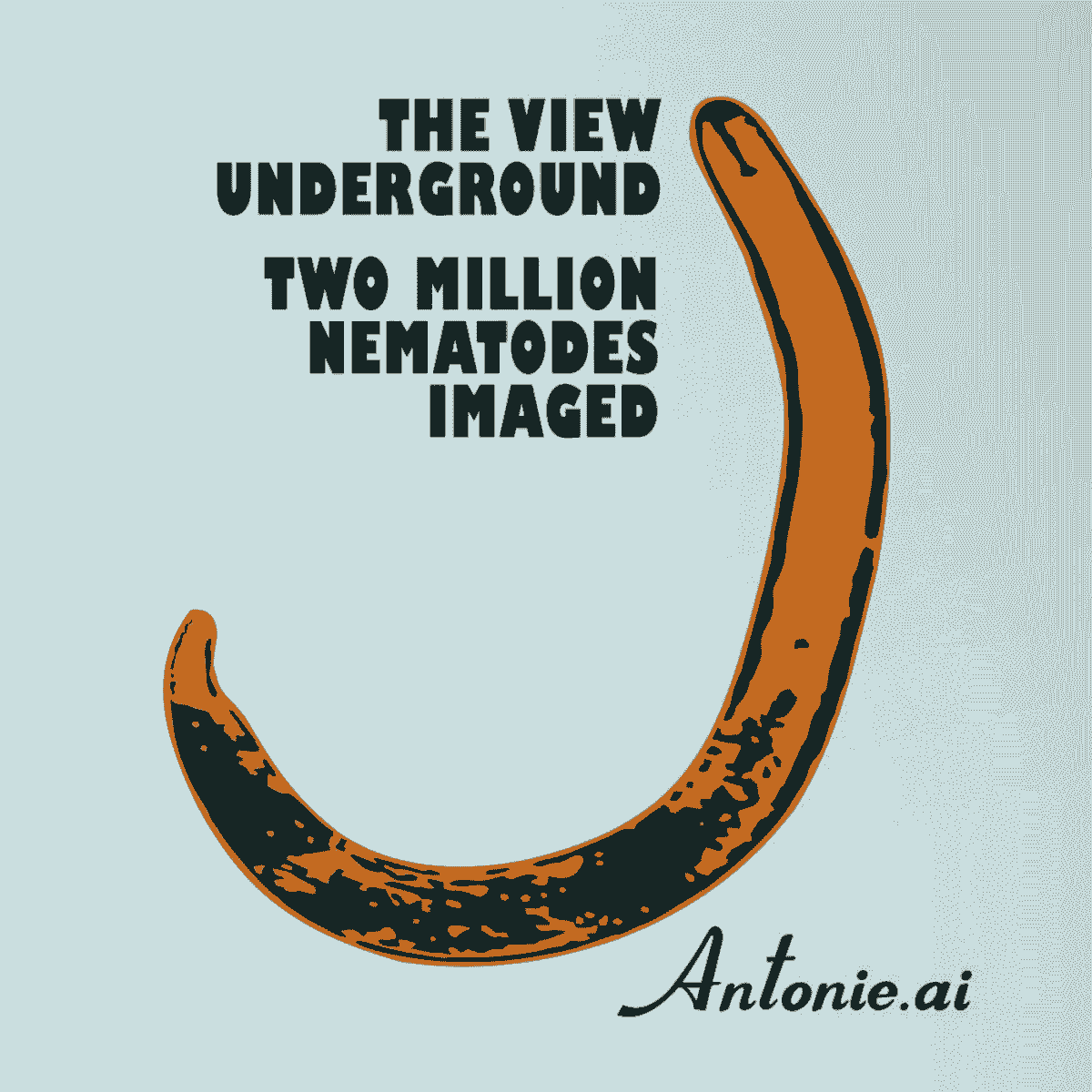 2 million nematodes! 2 million nematodes!