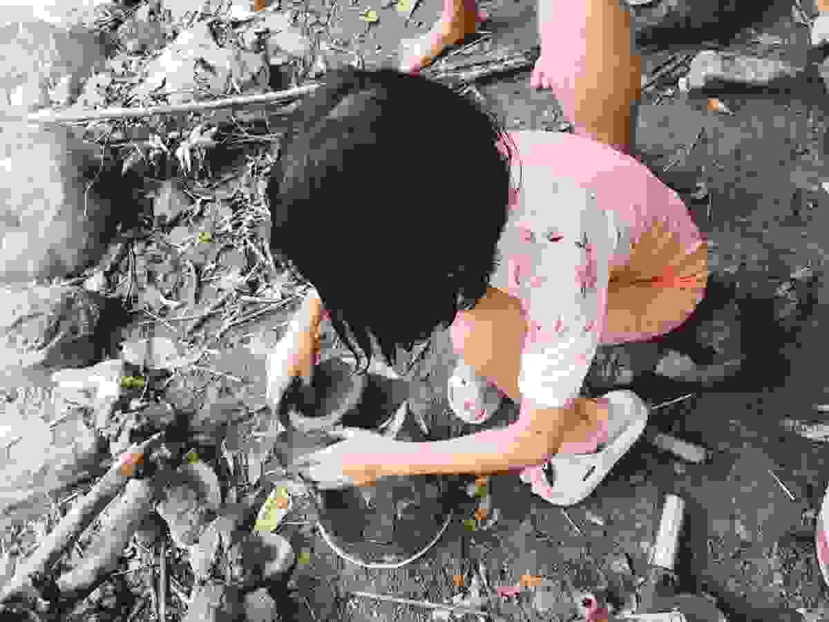 Section image