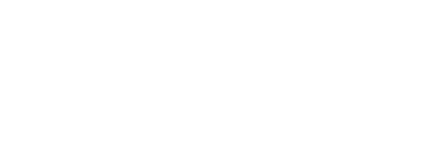 Paudience Logo