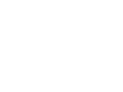 Paudience