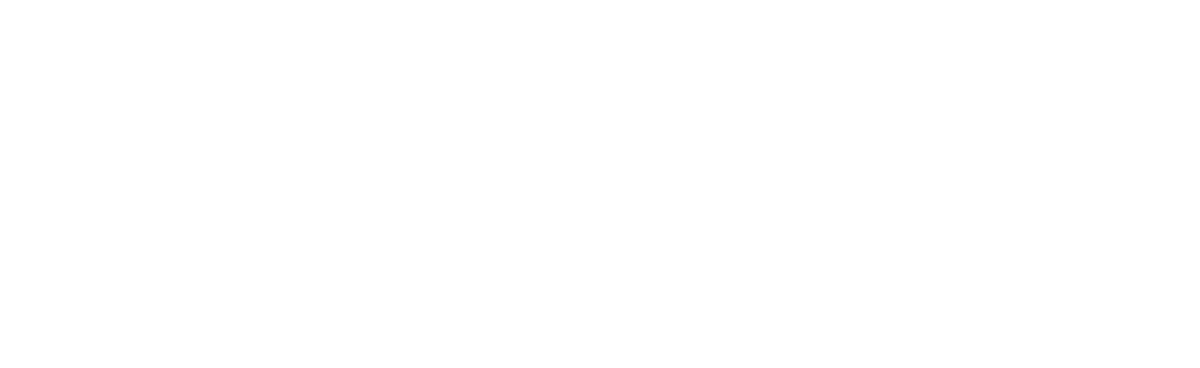 StemLink