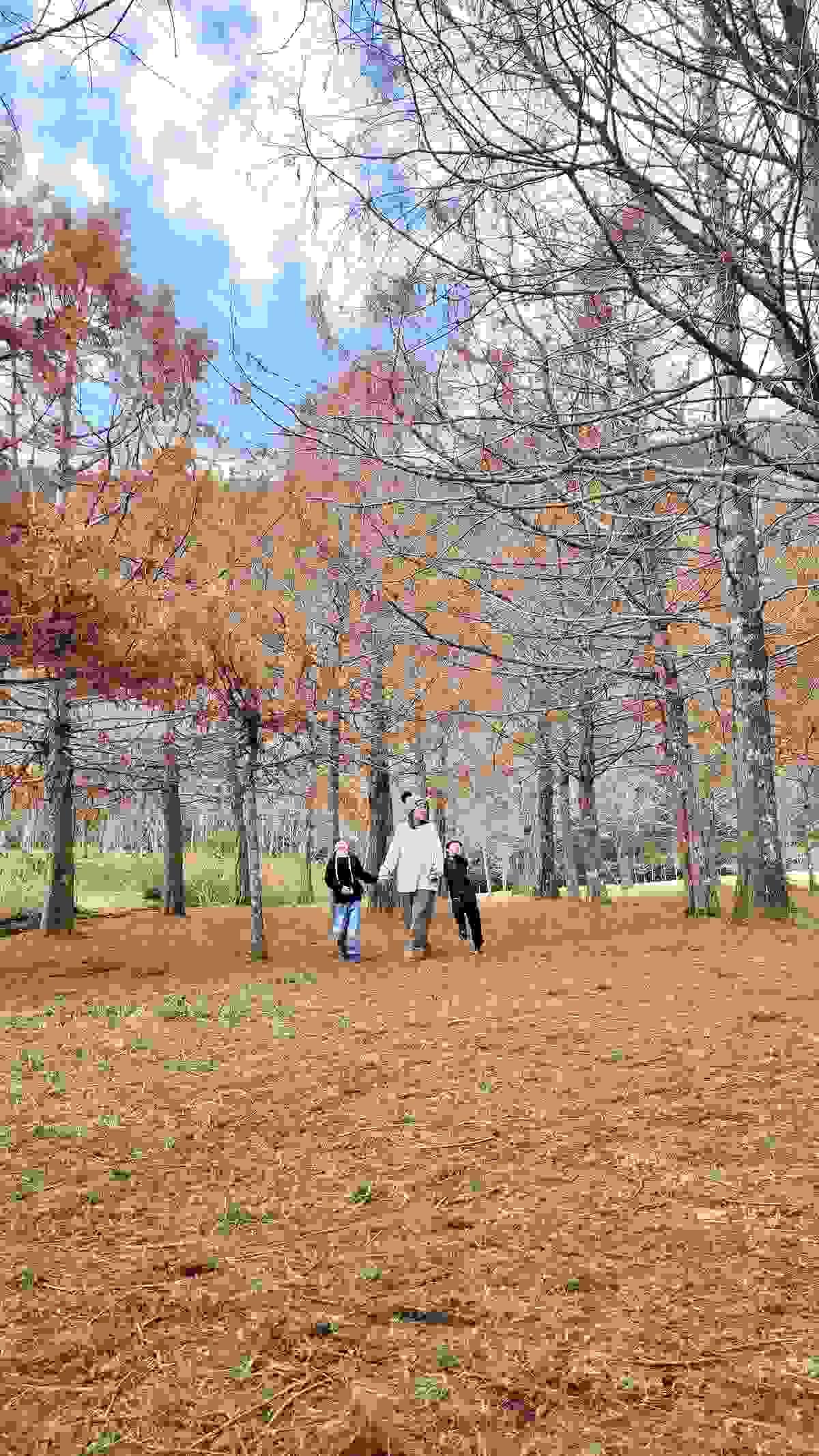 Section image