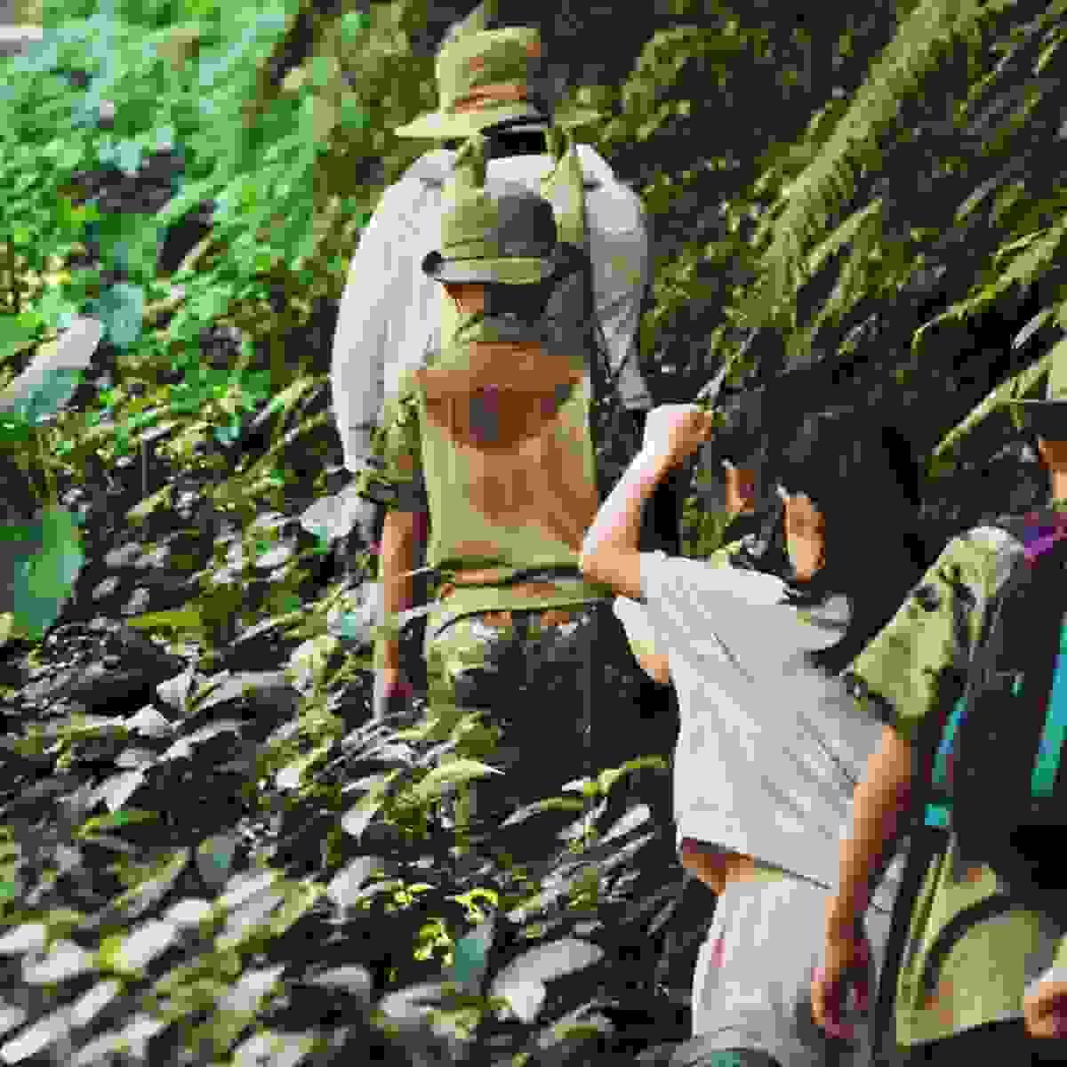 Section image