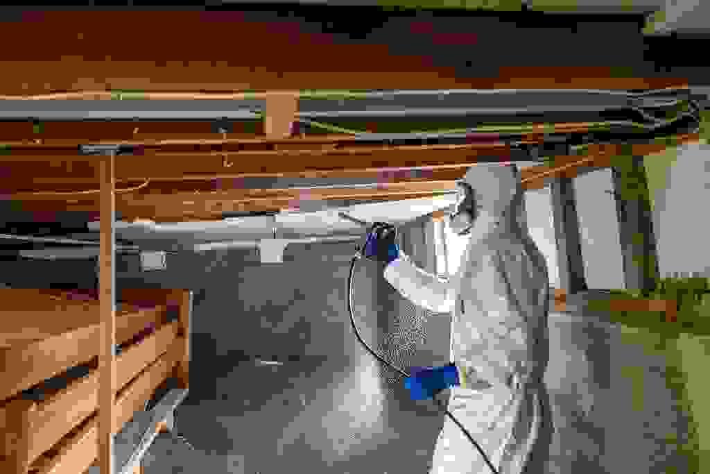 Section image