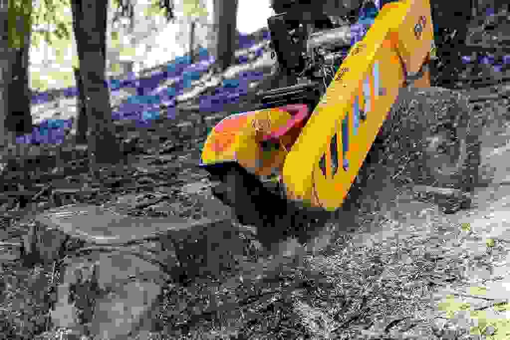 Section image