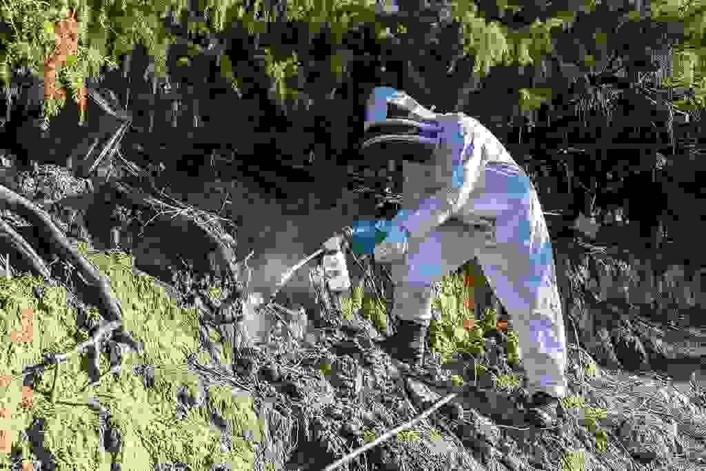 Section image