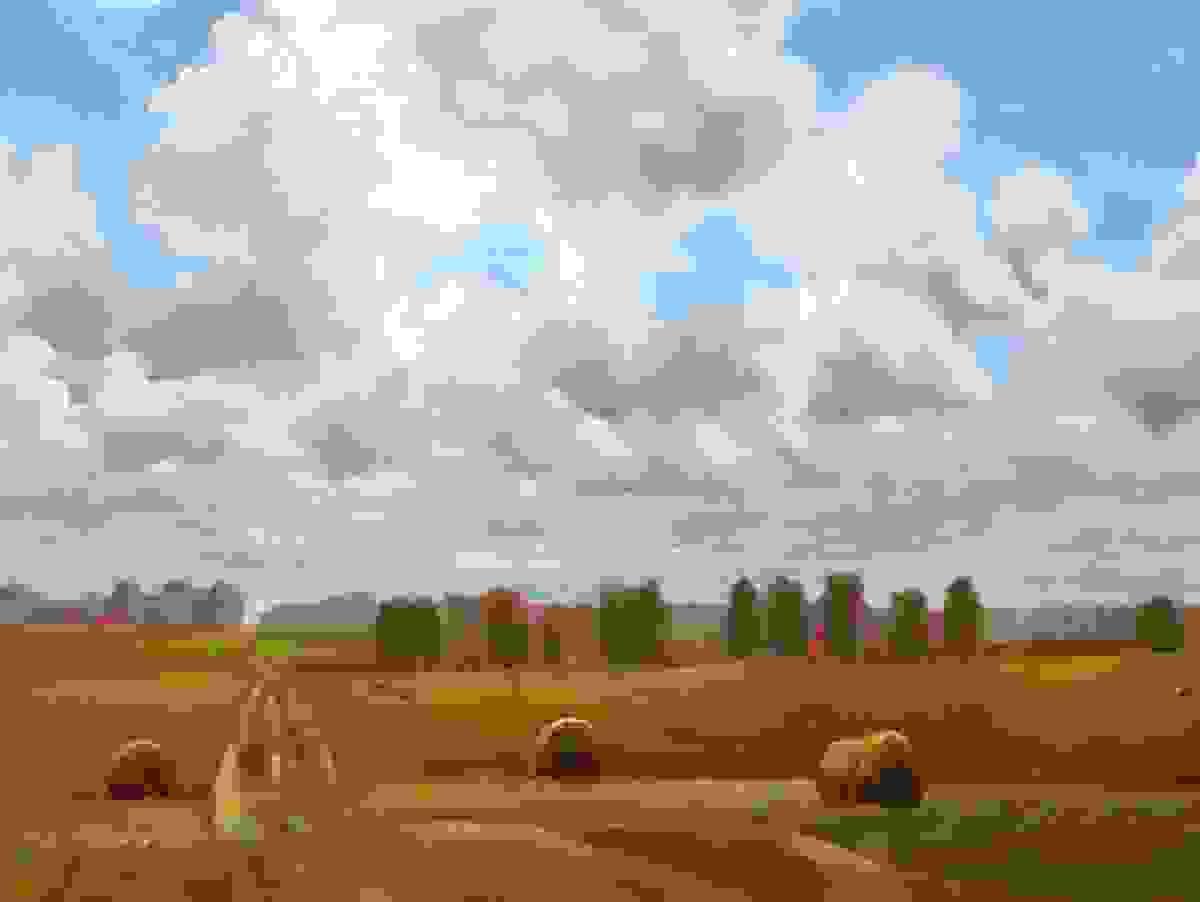 Section image