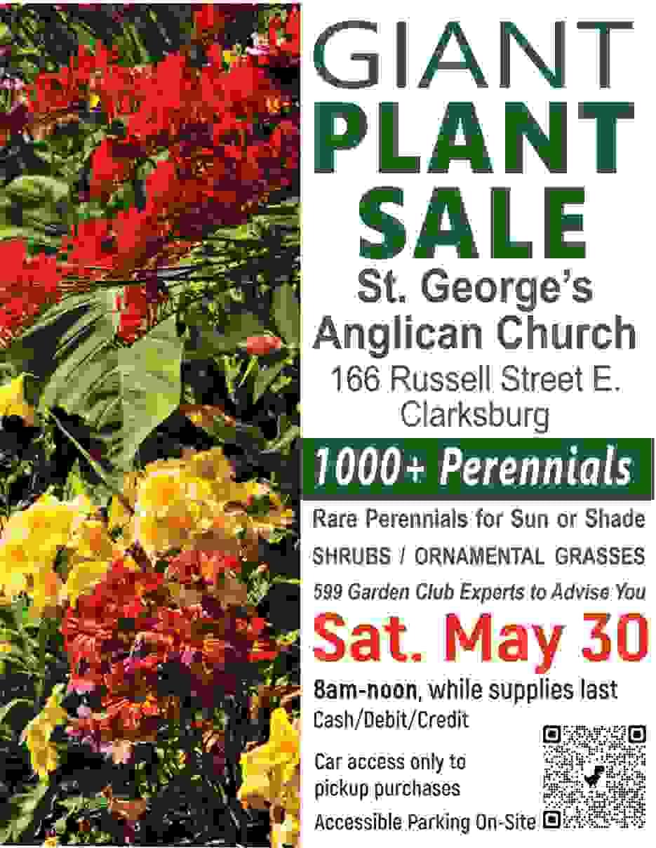 Our association highlights local businesses through marketing initiatives, helping them reach more customers and thrive. Business Promotion What We Do a Non Profit organizaiton promoting businesses in the Village of Clarksburg, The Blue Mountains Ontario Our association highlights local businesses through marketing initiatives, helping them reach more customers and thrive. Business Promotion What We Do a Non Profit organizaiton promoting businesses in the Village of Clarksburg, The Blue Mountains Ontario