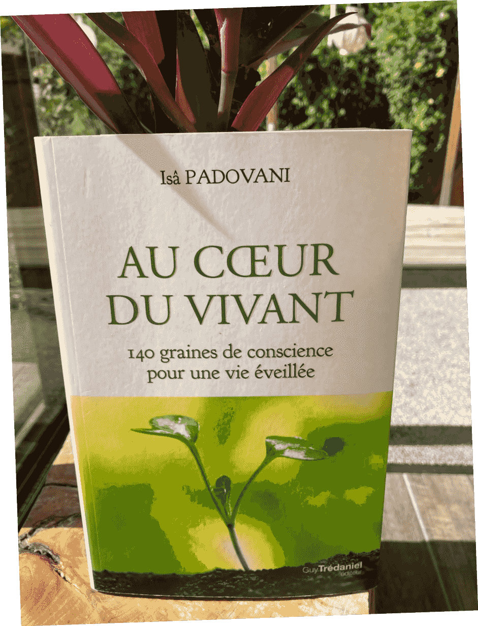 Le livre "Hymnes à Ce Qui Est" de Nathalie Champougny, posé entre un tissu représentant un mandala et des cristaux Le livre "Hymnes à Ce Qui Est" de Nathalie Champougny, posé entre un tissu représentant un mandala et des cristaux