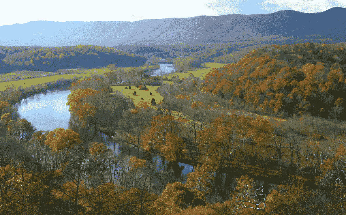 Section image