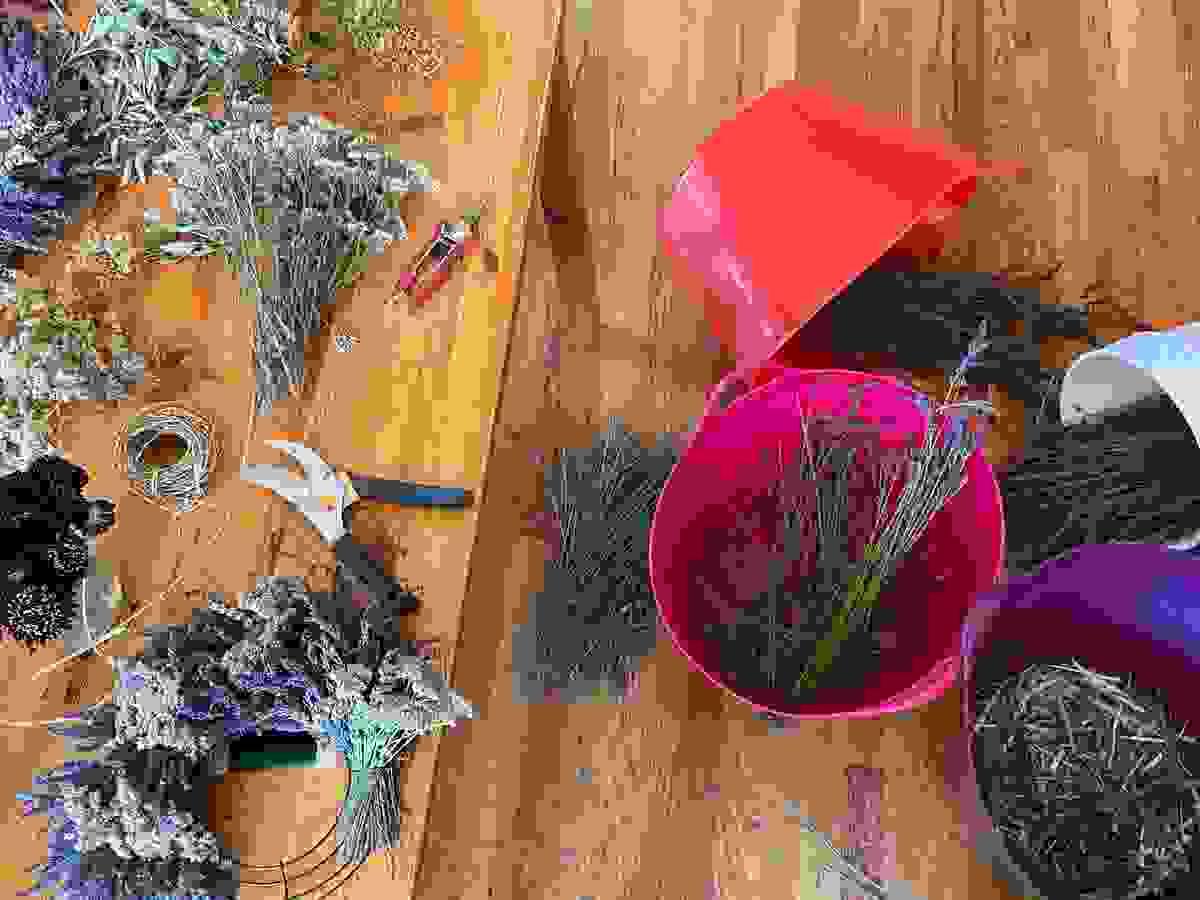 broken image